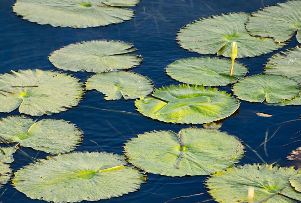 Lake Peten Itza, Petén, Guatemala