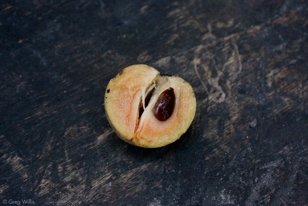 Chicozapote fruit