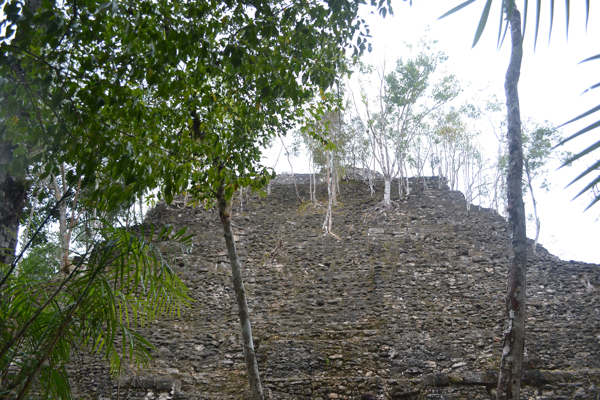 La Danta, El Mirador