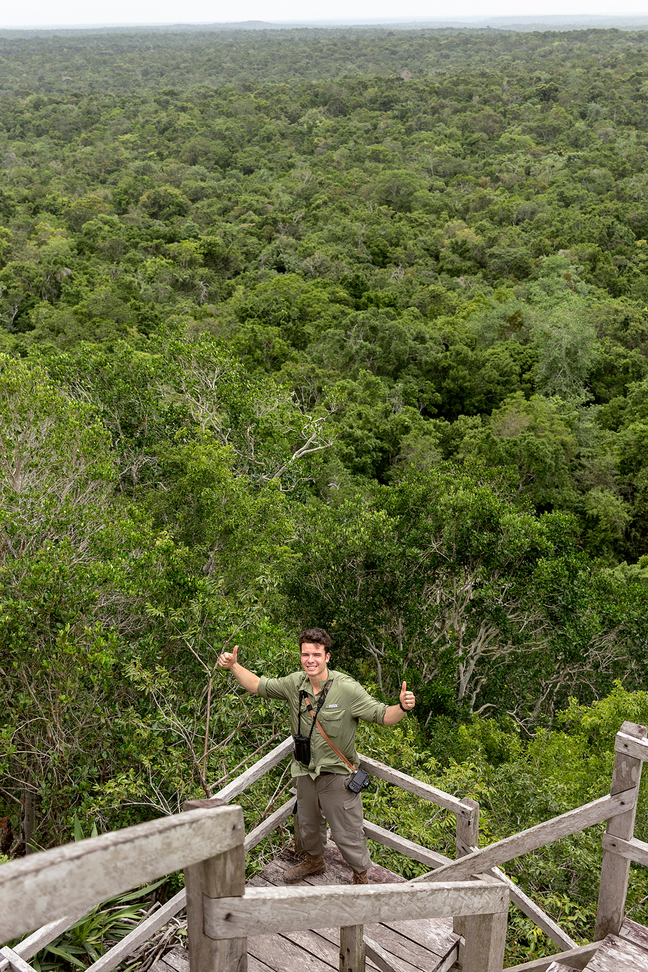 La Selva vista desde La Danta