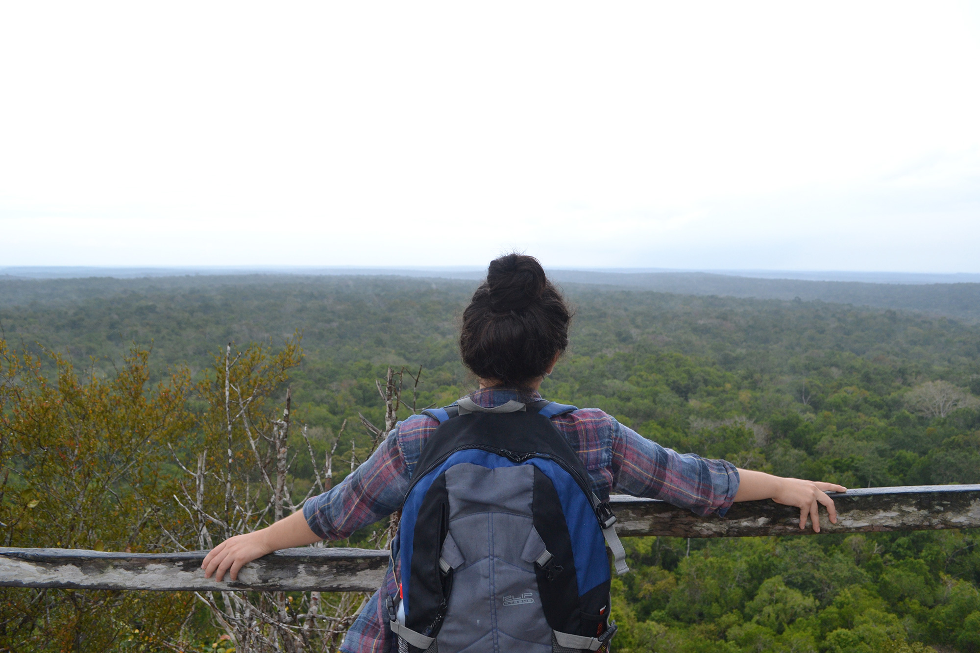 View from La Danta