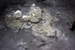 Bedrock carving in the southern part of Mirador