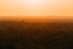 El Tintal