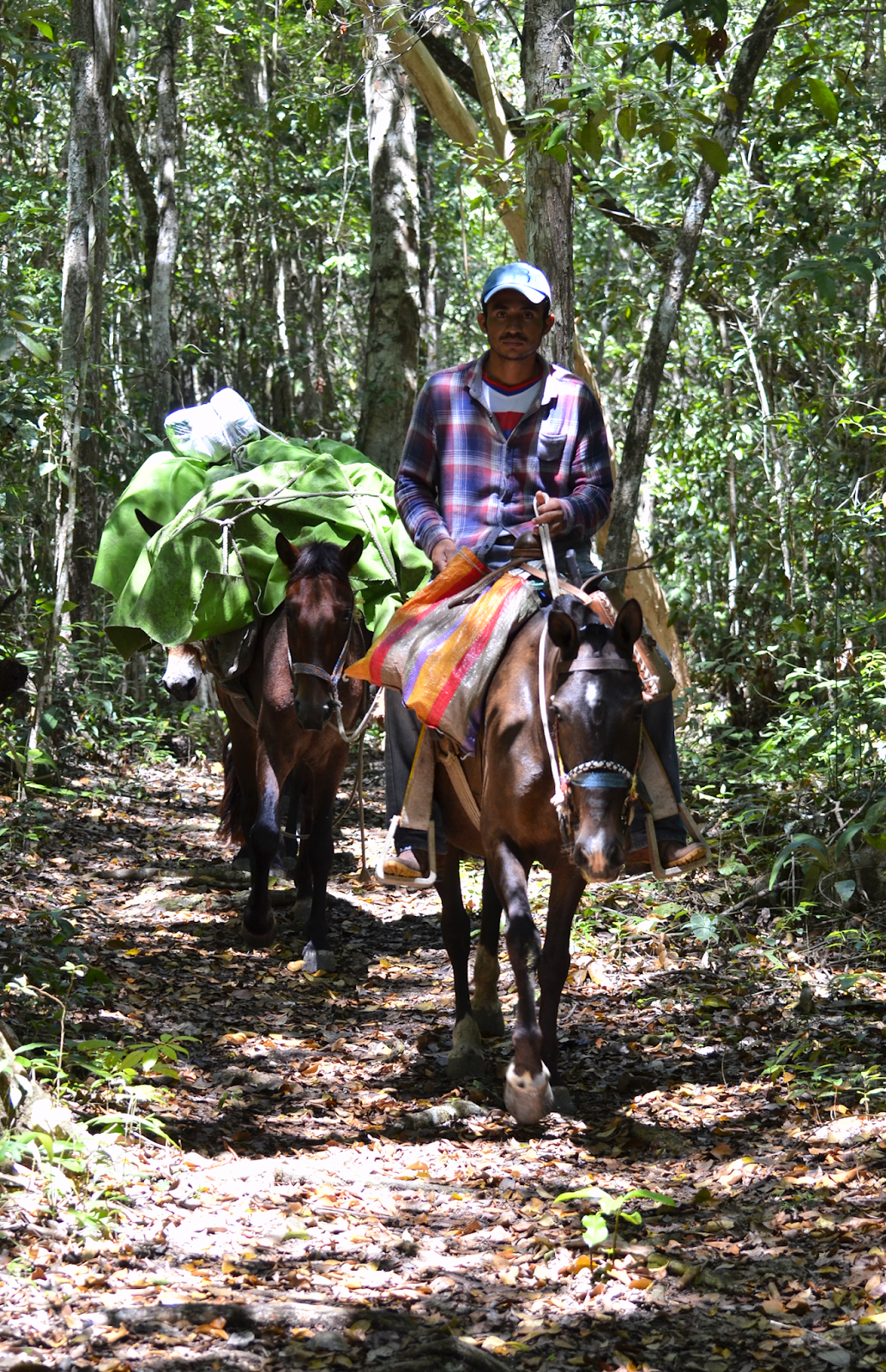 Arriero Cooperativa Carmelita