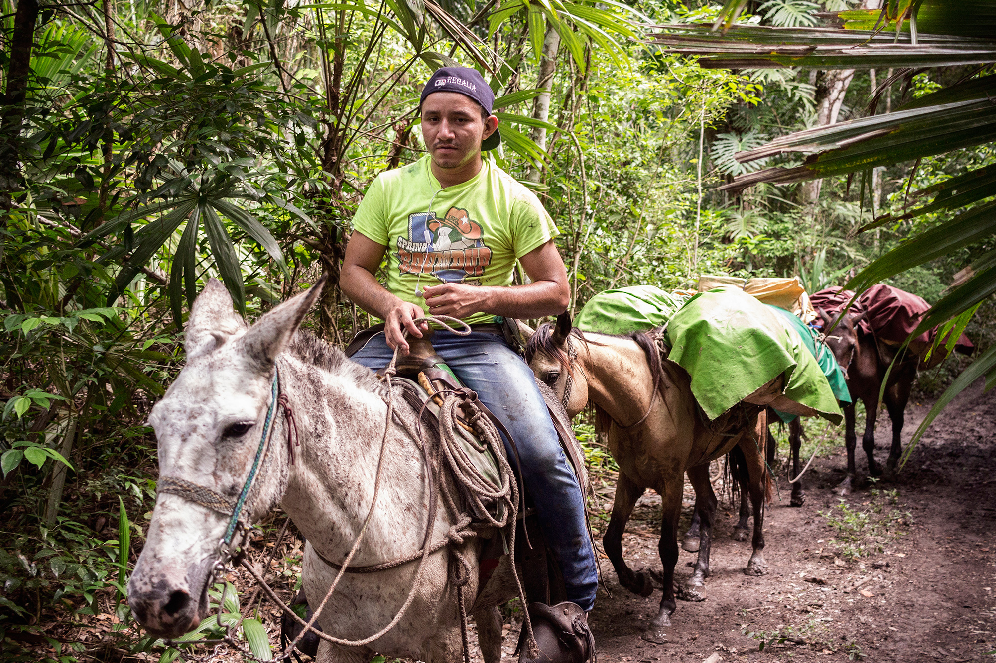 Arriero Cooperativa Carmelita