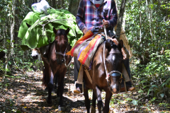 Arriero Cooperativa Carmelita