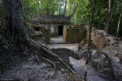 La Florida structure