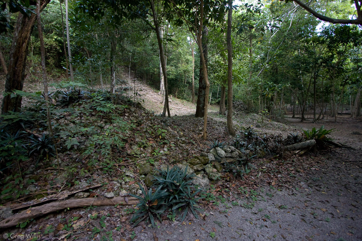 Temple 1 Nakbe, from plaza
