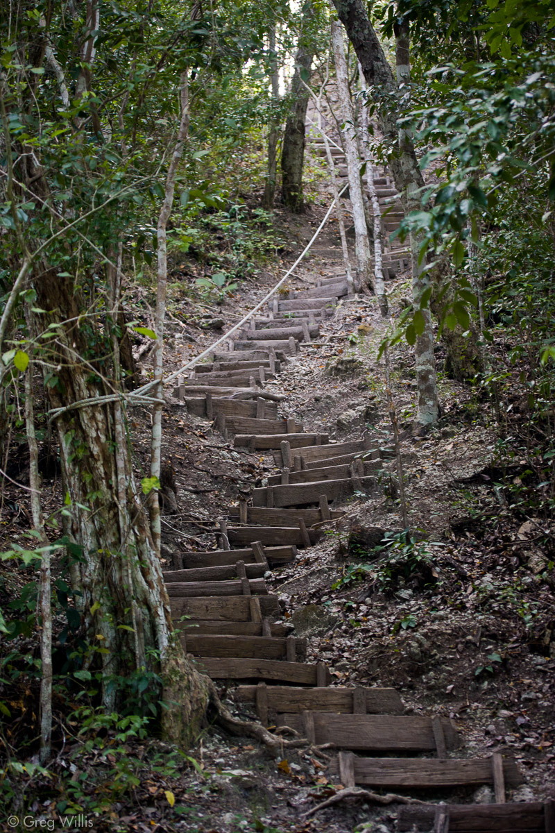Temple 1 Nakbe, stairs