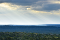 Una tarde en Nakbé