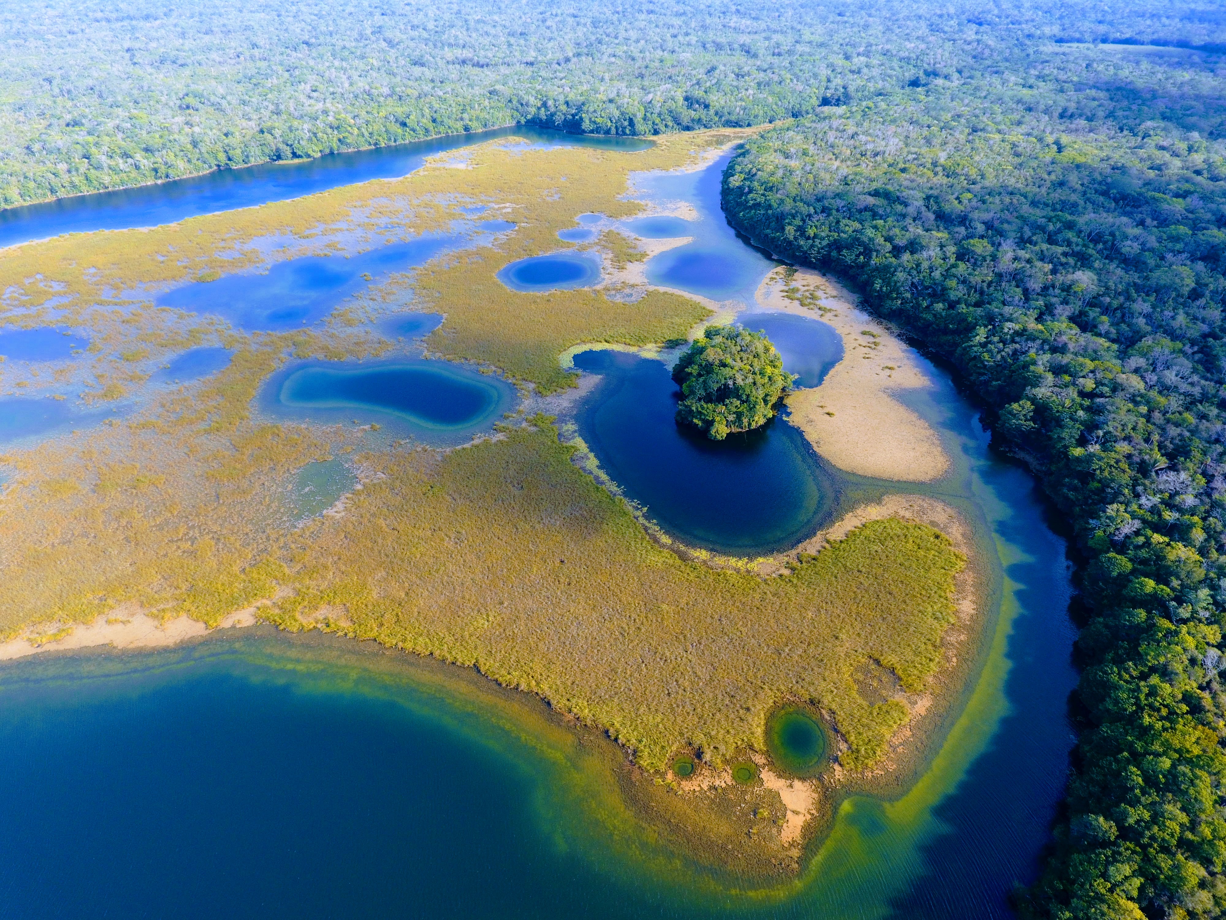 Refugio de Vida Silvestre Puerto Arturo