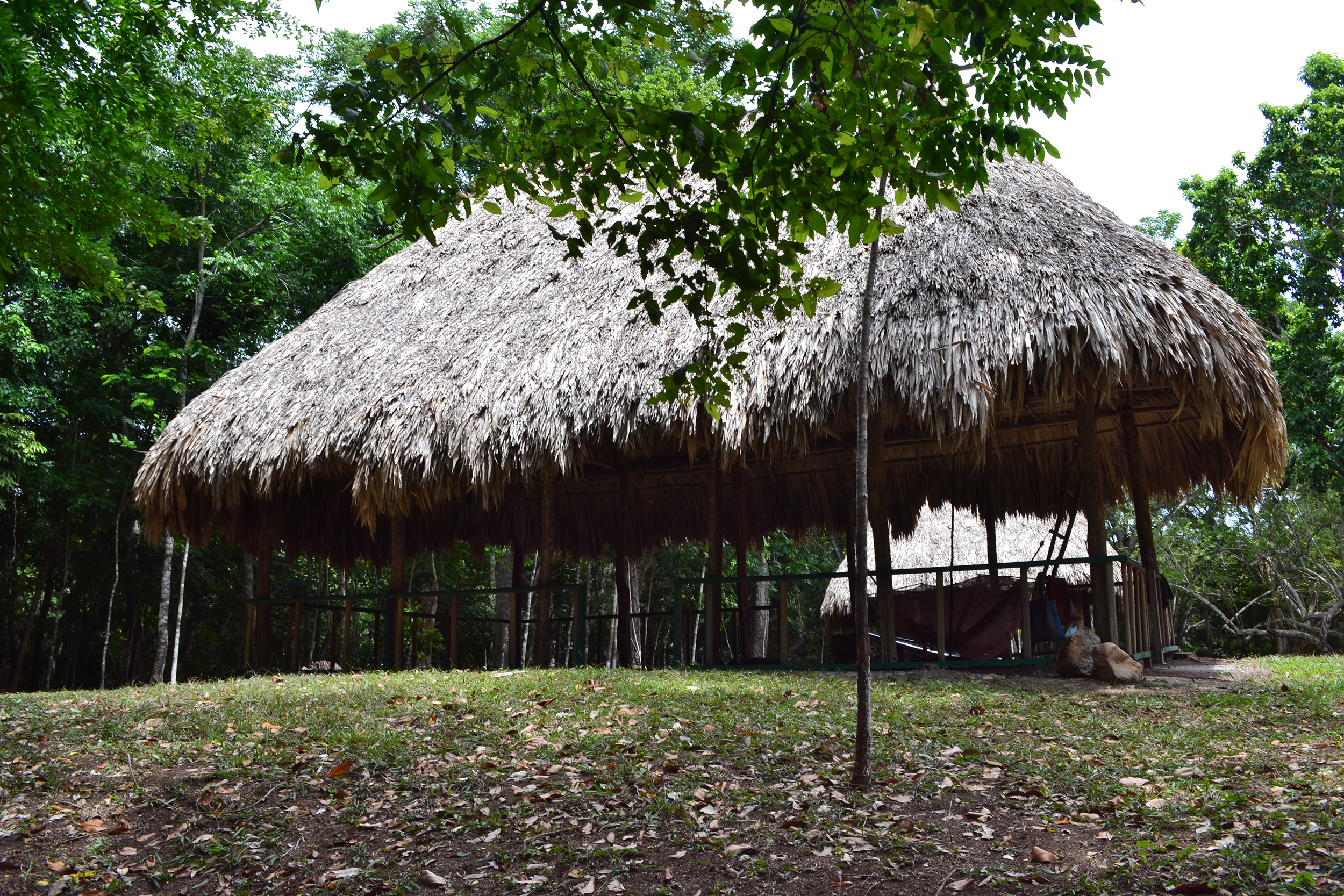 Refugio de Vida Silvestre Puerto Arturo