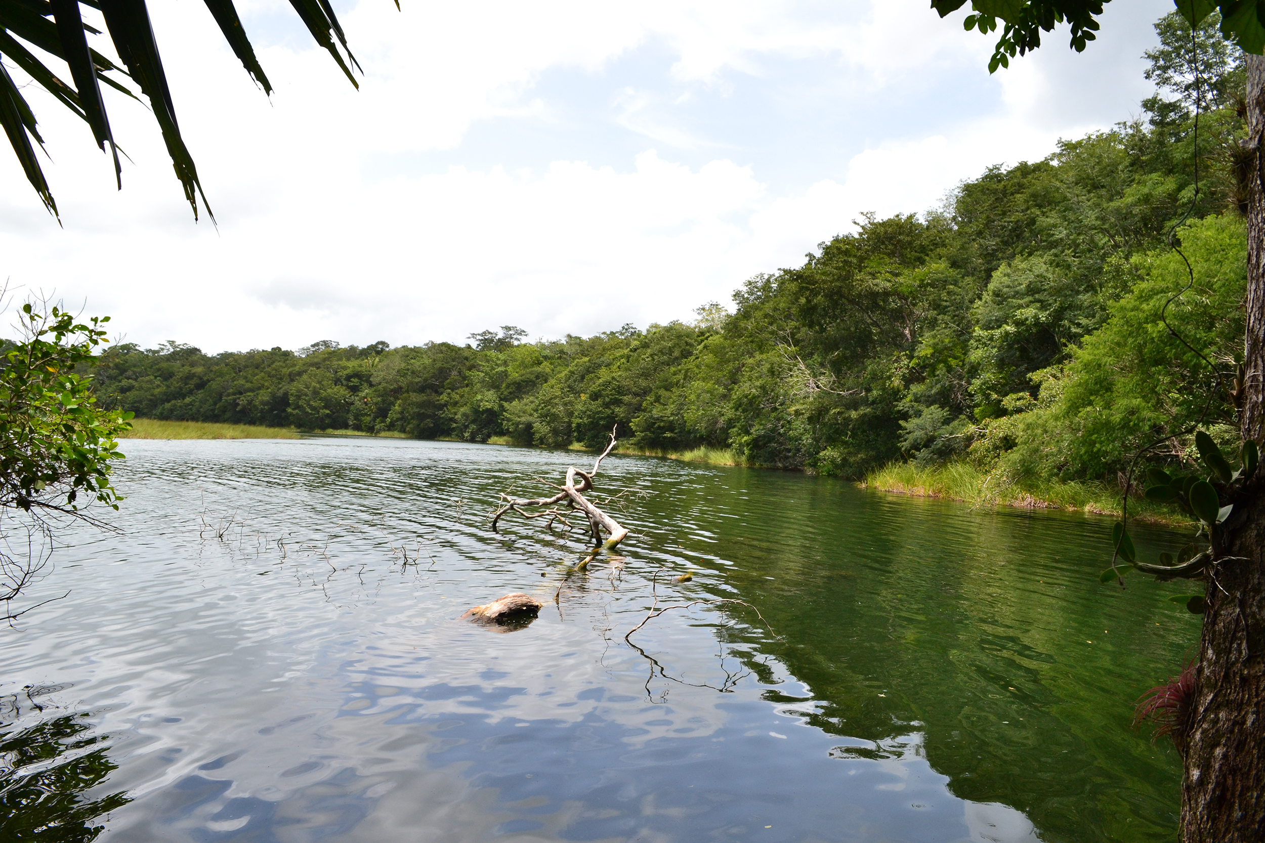 Refugio de Vida Silvestre Puerto Arturo