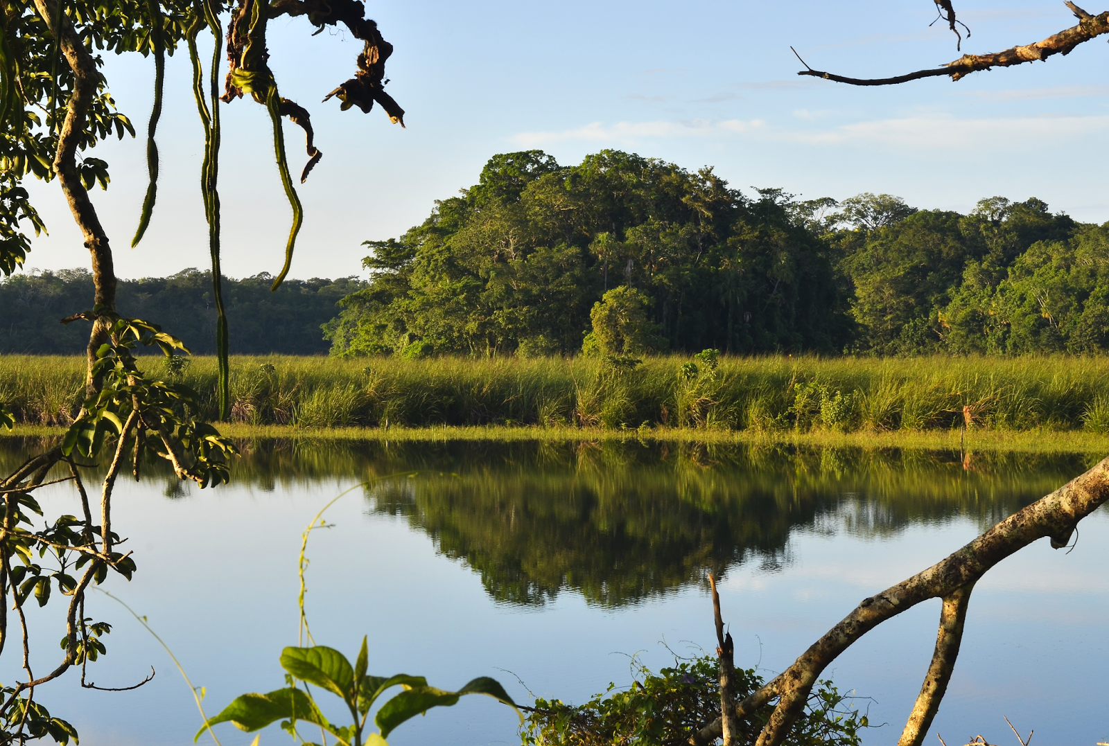 Isla en Puerto Arturo