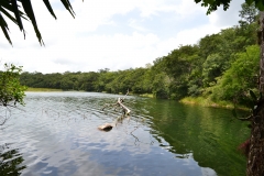 Refugio de Vida Silvestre Puerto Arturo