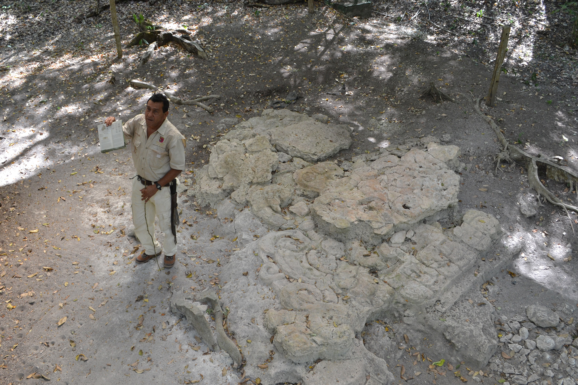 Glifos mayas