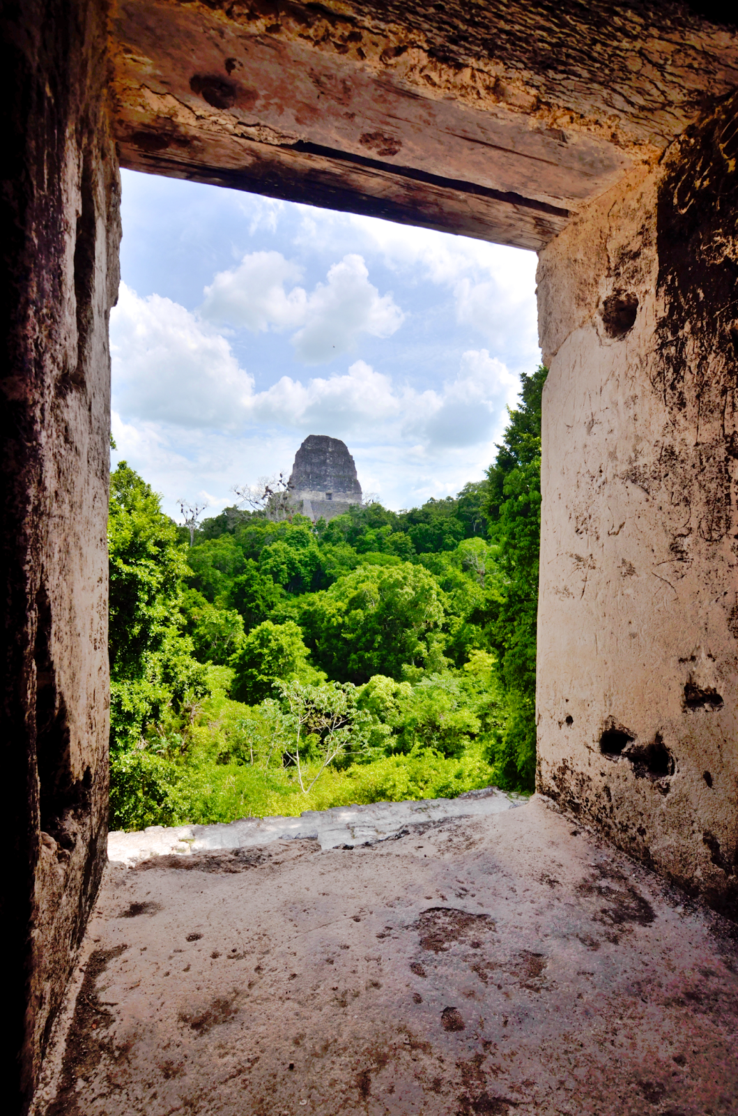 Tikal - Templo V