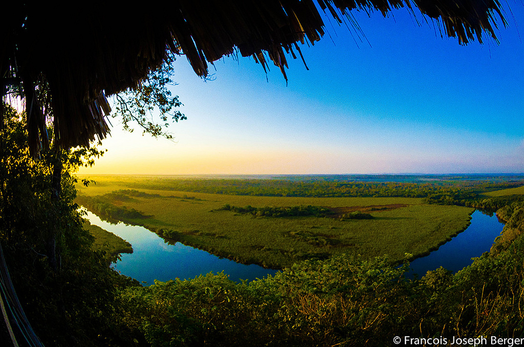 Las Guacamayas Biological Station