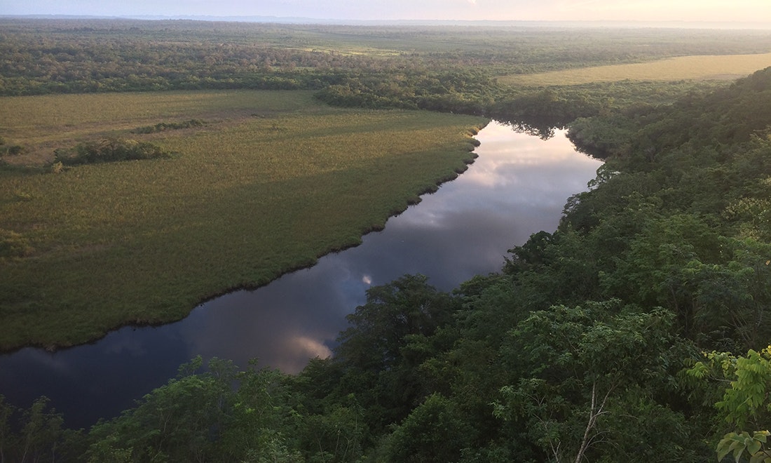 Las Guacamayas Biological Station and Waca Peru Site