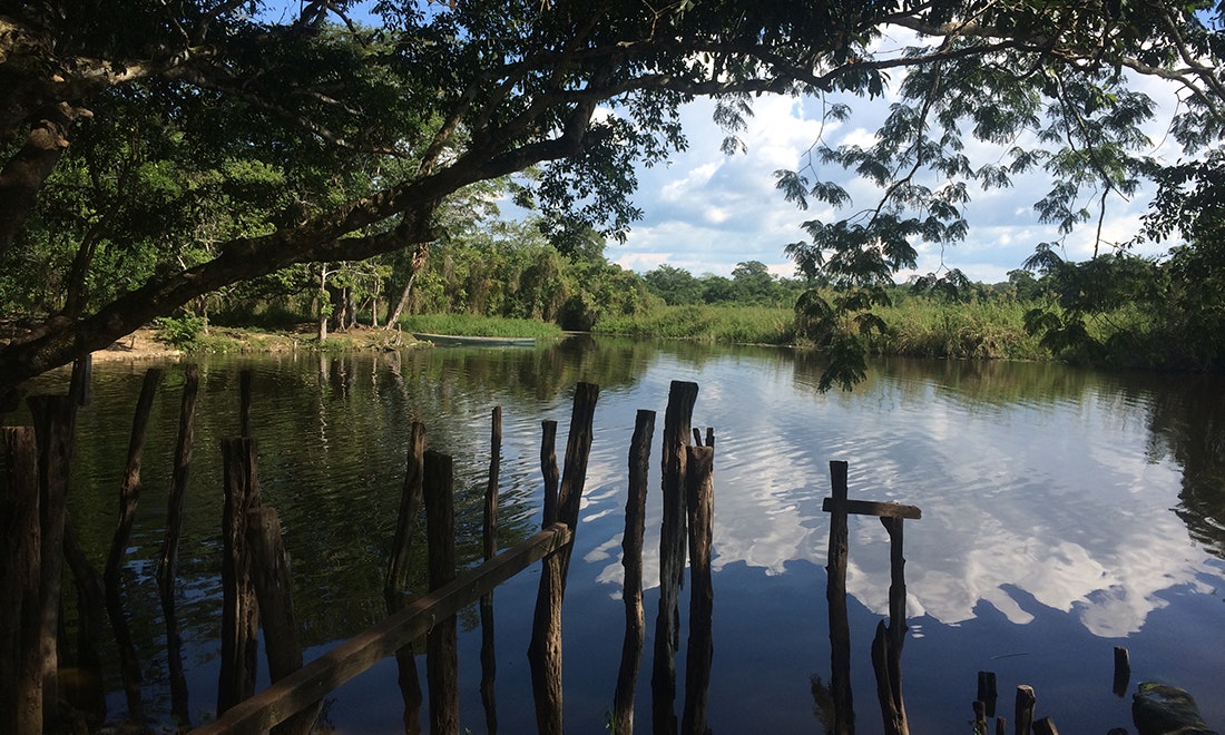 Las Guacamayas Biological Station and Waca Peru Site