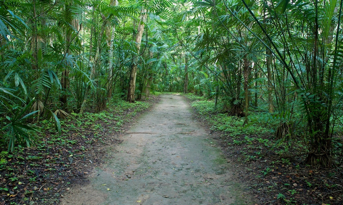 Yaxhá