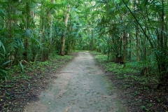 Yaxhá